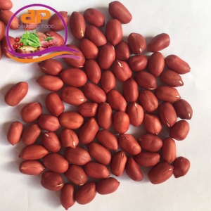 ĐẬU PHỘNG ĐỎ