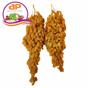 NHO KHÔ MỸ NGUYÊN CÀNH