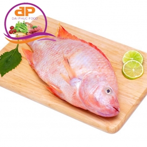 CÁ ĐIÊU HỒNG