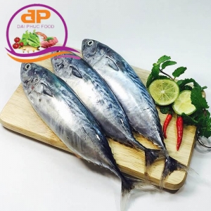 CÁ NGỪ NHỎ