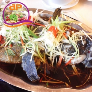 CÁ TẦM HẤP HỒNG KÔNG