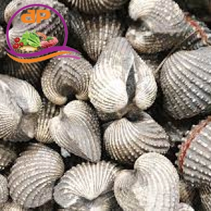 SÒ HUYẾT