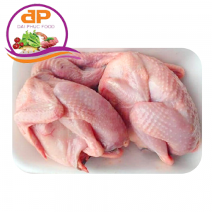 BỒ CÂU 