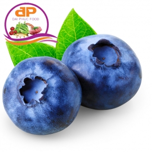 VIỆT QUẤT  HỘP 125GR