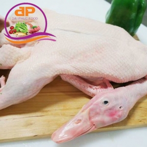 VỊT ĐỒNG