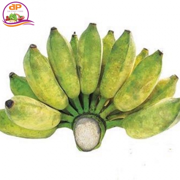 CHUỐI SỨ